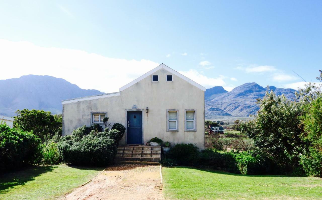 The Crowded House Villa Pringle Bay Exterior photo